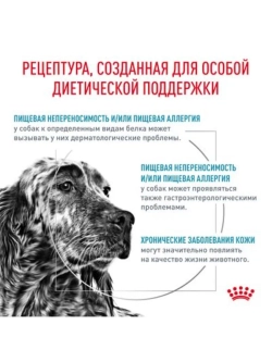 Hypoallergenic DR 21 Canine 2кг Корм для собак
