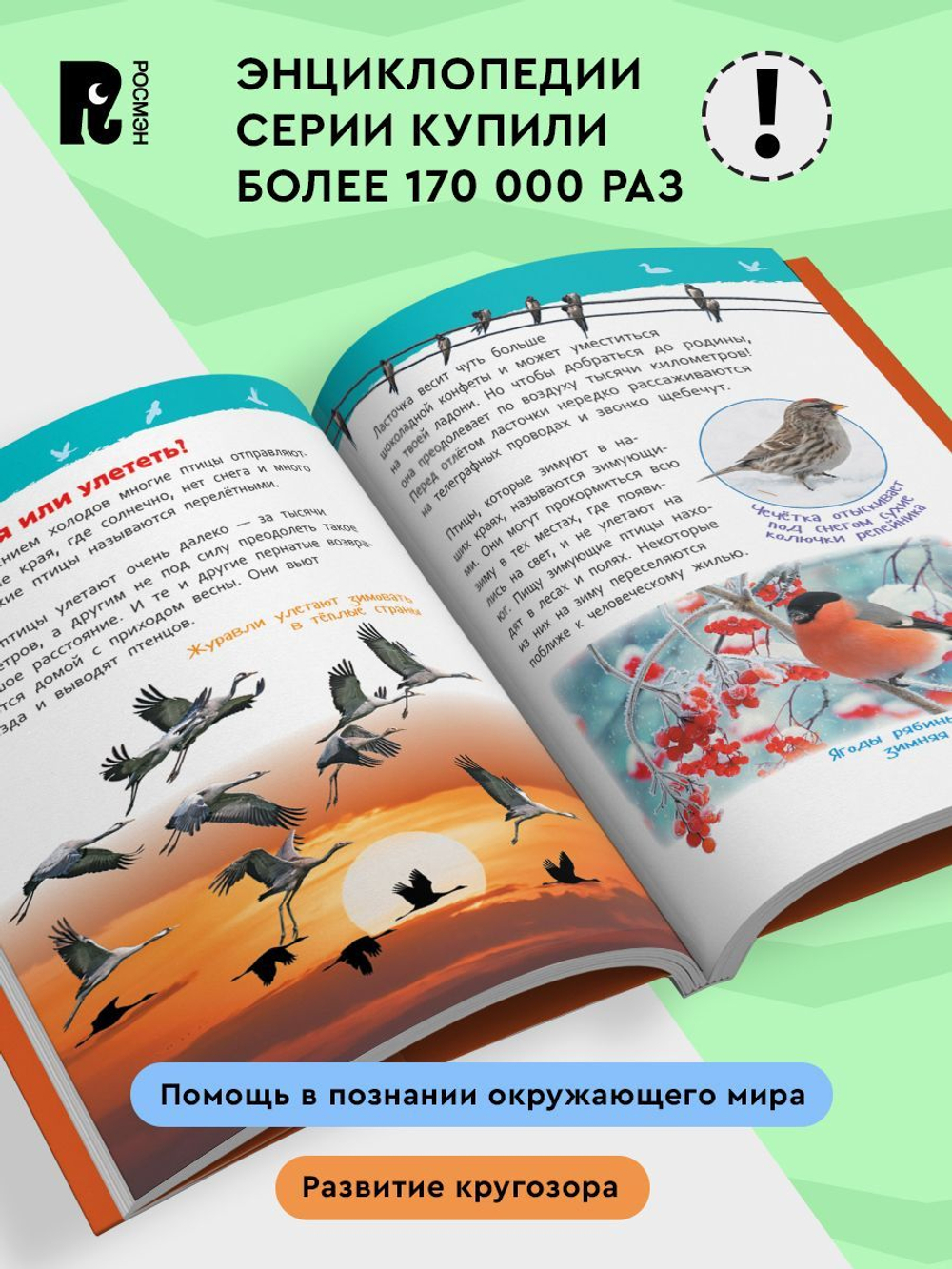 Птицы (Энциклопедия для детского сада)