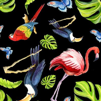 Птицы в тропиках на черном фоне