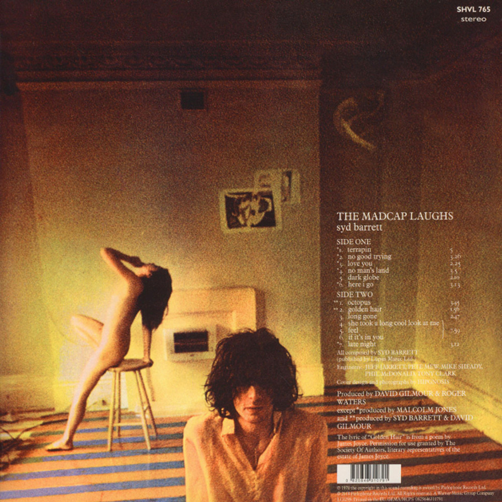 Syd Barrett / The Madcap Laughs (LP)