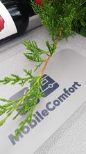 Компрессорный автохолодильник Mobile Comfort MC-35 (12/24/220V)