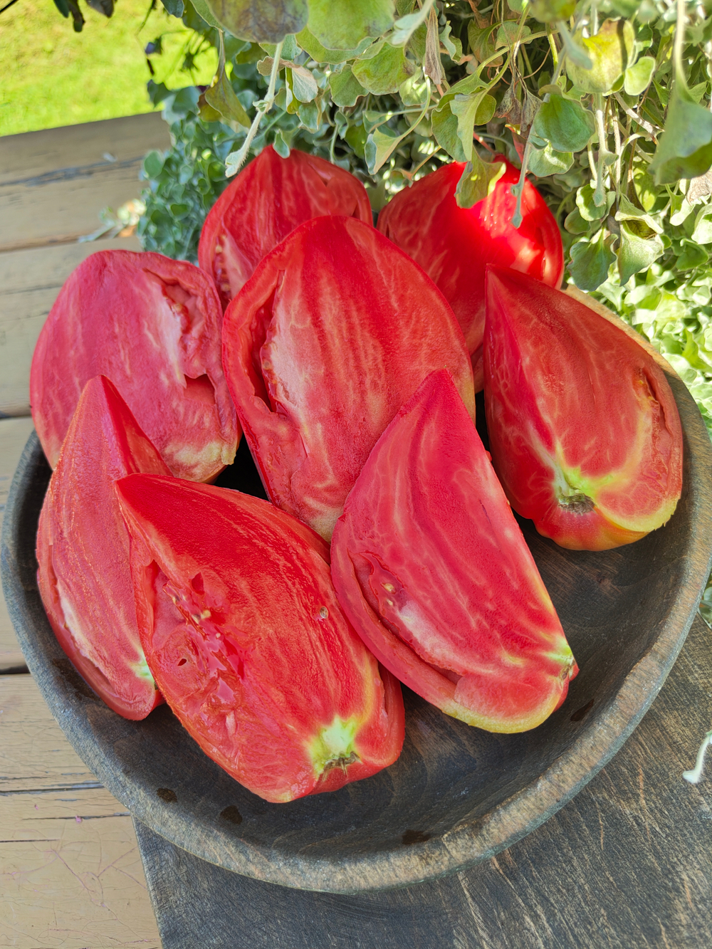 Сердце Марты (Martha's Heart)