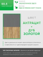 Закрытая обувница в прихожую антрацит-дуб золотой ОБВ-69-7-6
