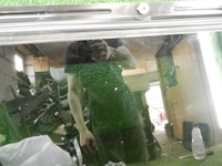 DSCN9743.JPG