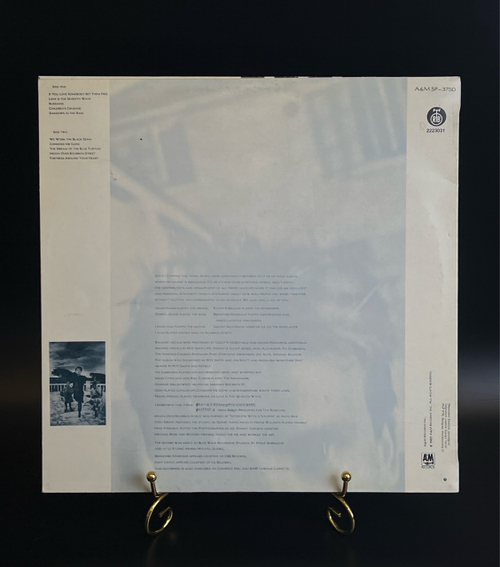 LP Sting - The Dream Of The Blue Turtles. Виниловая пластинка 12 дюймов. A&M records 1985 год.