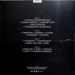 Robbie Williams / XXV (2LP)