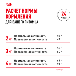 Royal Canin Yorkshire Terrier Adult Корм сухой для взрослых собак породы Йоркширский Терьер от 10 месяцев - 0,5 кг