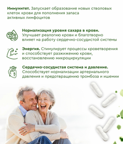 Синтезит Железо (Блистер)