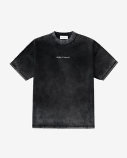 Футболка Garment Dyed Picture of life серая