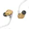 Final Audio A10000 Collector’s Edition Gold