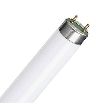 Люминесцентная лампа Camelion FT8 10W