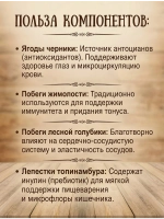 Тизан ягоды черники с побегами жимолости и голубики