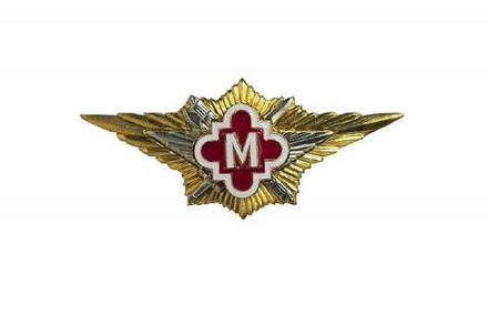 Значок классности ФСИН Мастер