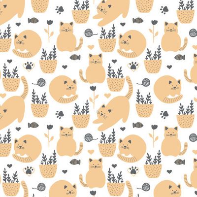 Котики