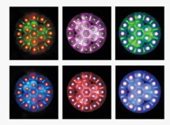 SHOWLIGHT MH-LED 19х30
