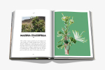 Книга Assouline AlUla Flora в твердом переплете
