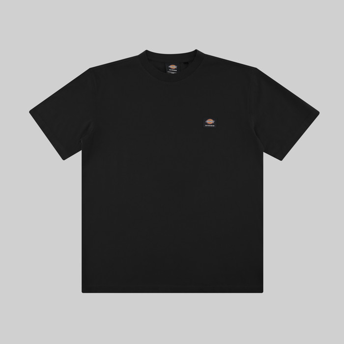Футболка мужская Dickies Skateboarding Mount Vista Shirt артикул:WSSK6_black - купить в магазине Дайс