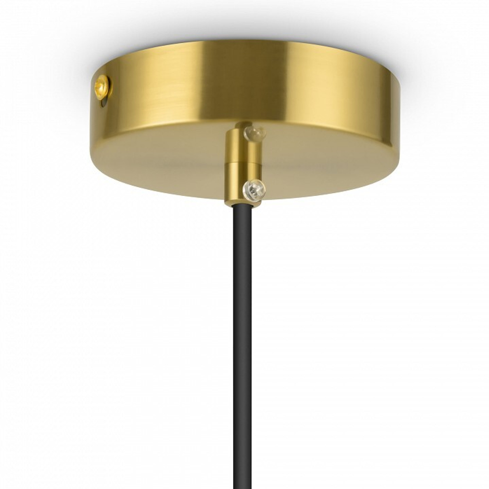 Подвесной светильник Freya Eleon FR5218PL-01BS