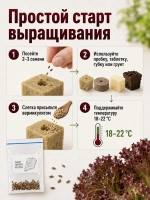 Семена салата Лолло Росса АГРОЛО профессиональные для гидропоники и грунта, листовой салат для дома и дачи