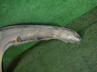 DSCN7648.JPG