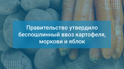 Правительство утвердило беспошлинный ввоз картофеля, моркови и яблок