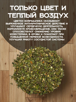 Боярышник цвет.