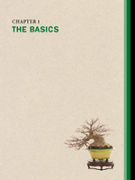 The Ultimate Bonsai Handbook: The Complete Guide for Beginners