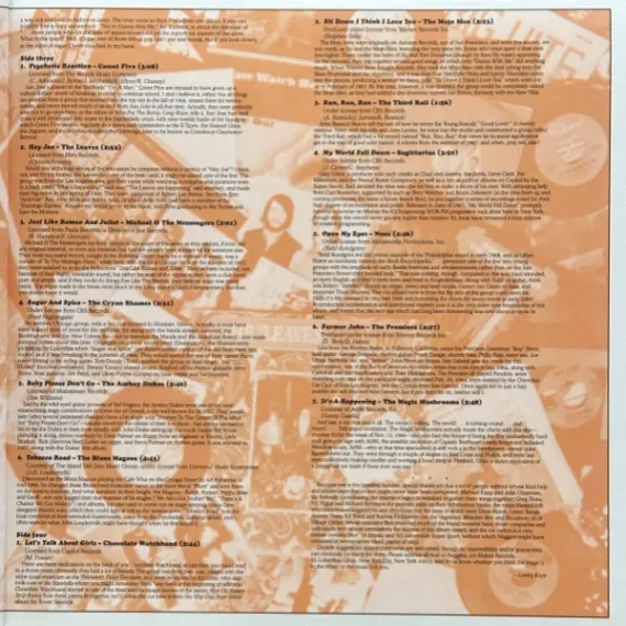 Various Artists Nuggets: Original Artyfacts From The First Psychedelic Era (1965-1968) (Box-set) - 4LP