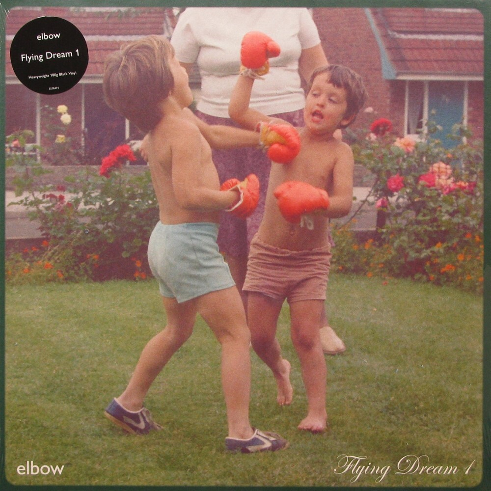 Elbow Flying Dream 1