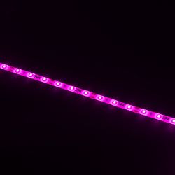 Светодиодная лента для растений ЭРА FITO-Strip Light-RB-45W-5m-12V-IP65 красно-синего спектра 5м IP65 с адаптером 12V | Светодиодные ленты для растений
