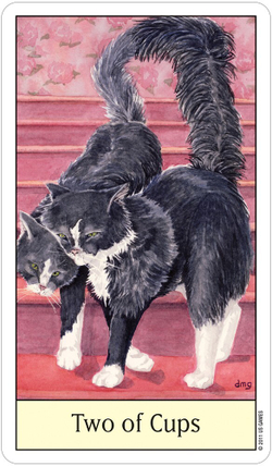 Cat's Eye Tarot / Таро Глаза Кошки