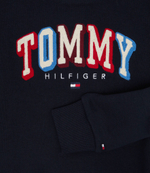 худые Tommy Hilfiger - темно-синий(KB0KB07785)