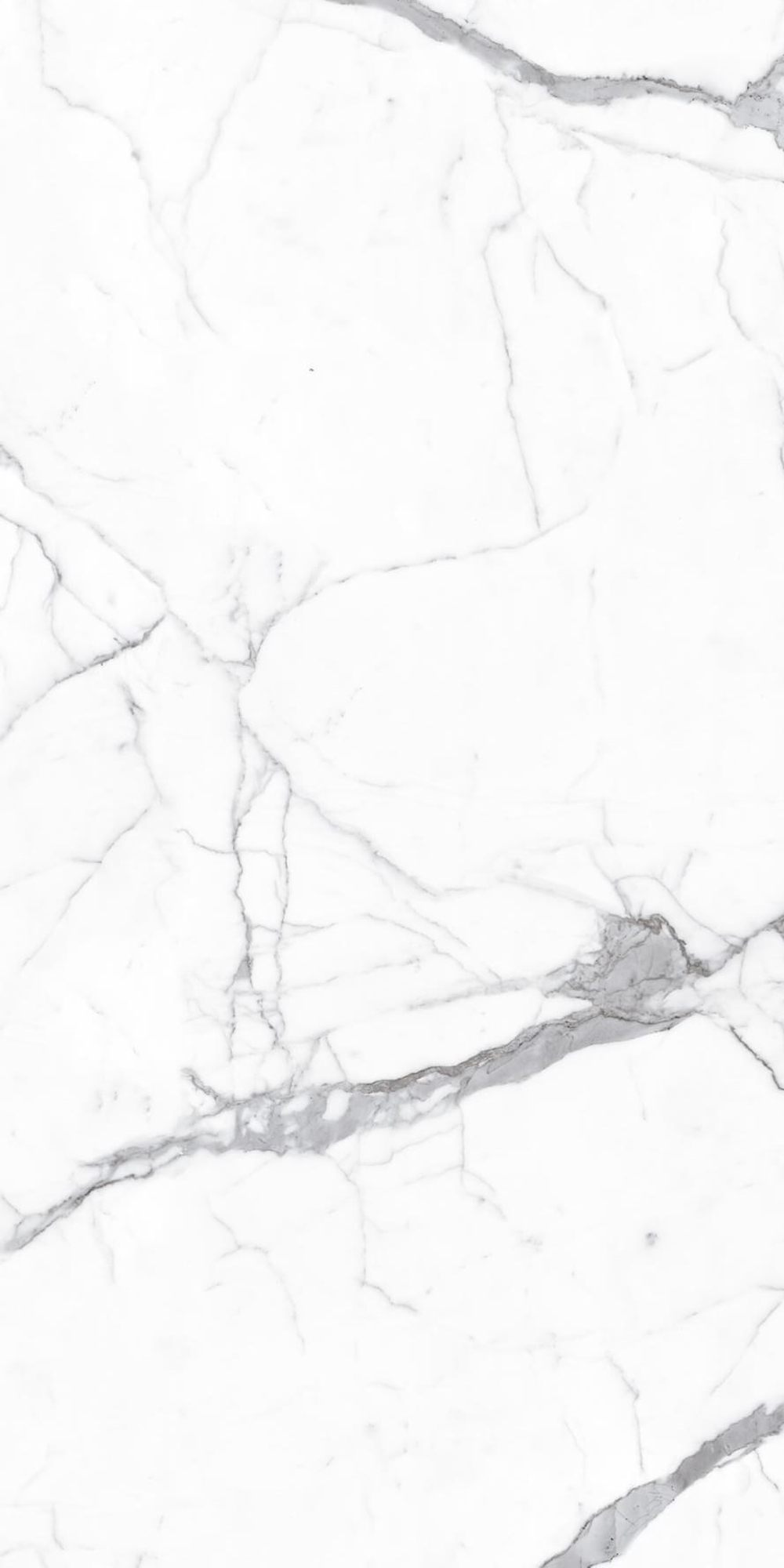 ARTCER 1XL Alps Statuario 120x240
