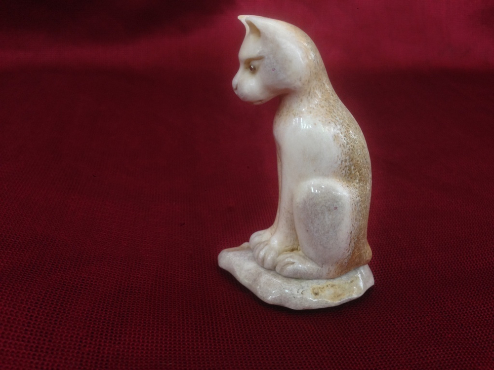 Кошечка