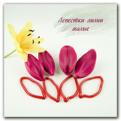 Лепестки лилии малые