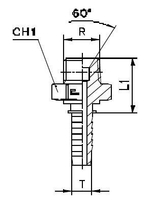Фитинг DN 10 BSPT 1/2