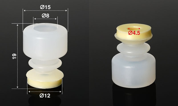 BHDM-12