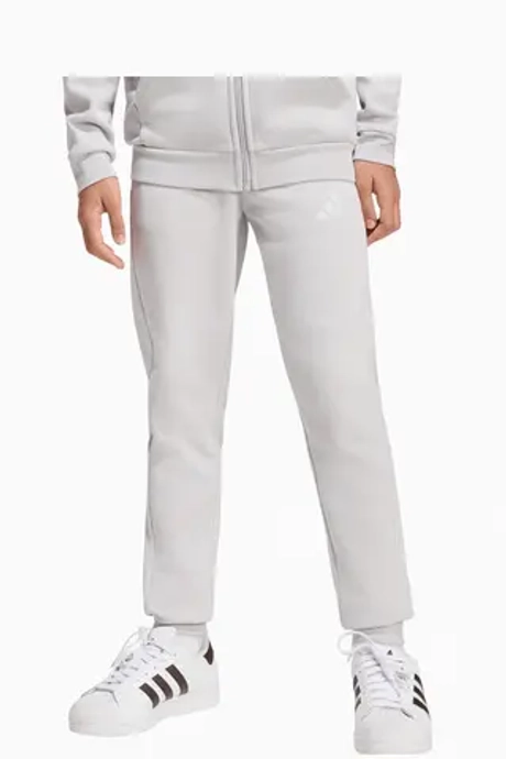 Штаны adidas Entrada 26 Sweat Junior - серый