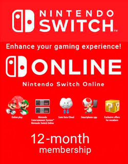 Nintendo eShop Store Poland: 12-месячная подписка Online Индивидуальная [Цифровой код доступа]