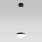 Подвесной светодиодный светильник Odeon Light RONI 5075/12L