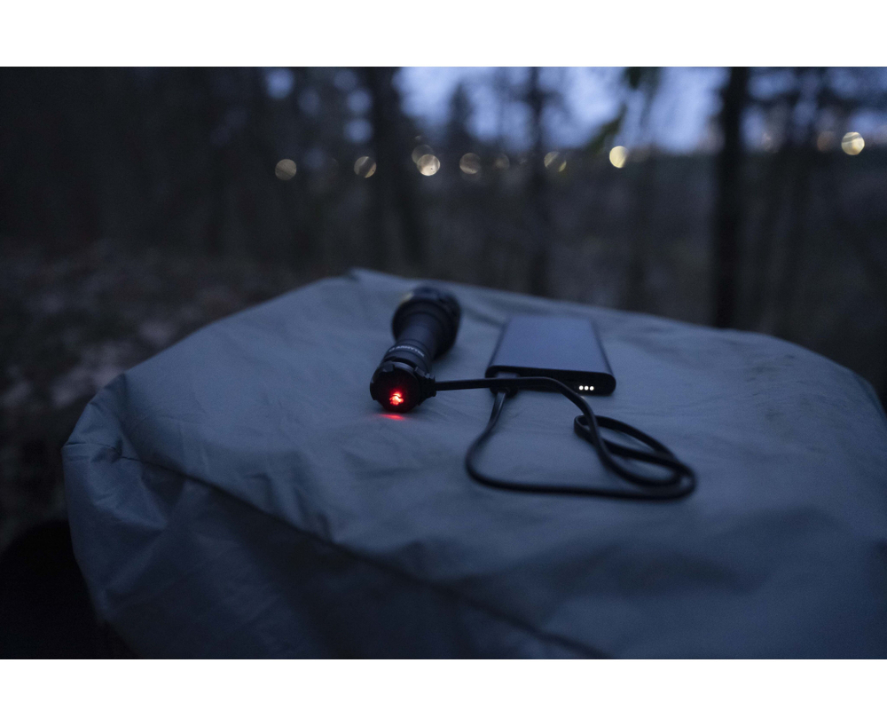 Фонарь Armytek Bear WRG