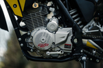 Z3Y Stinger
