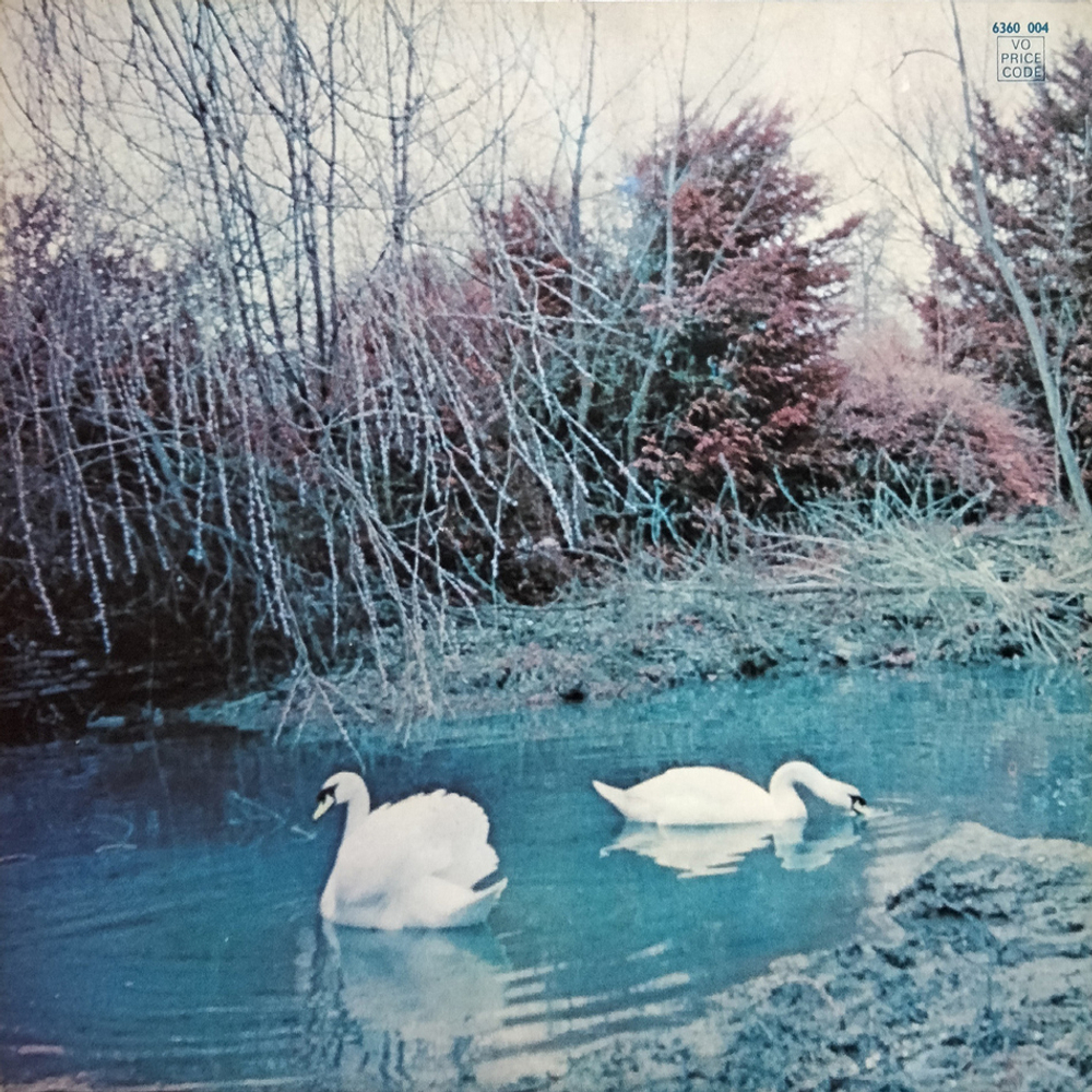 Affinity / Affinity (LP)