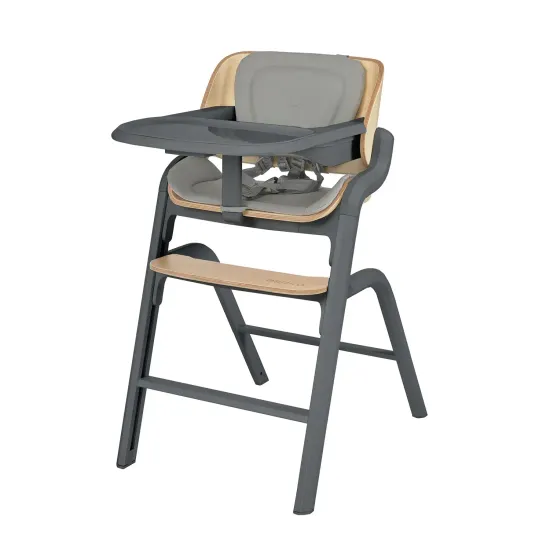Стул для кормления Espiro Pure Graphite (07)