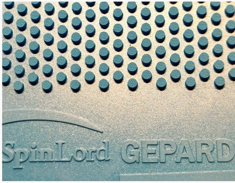 SPINLORD Gepard