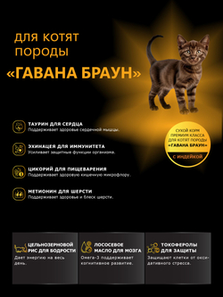 Корм сухой для котят породы Гавана браун, с индейкой, 2 кг, QUATTRO