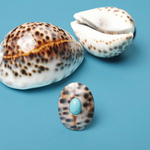 Кольцо Nature Bijoux, Surabaya, разъемное, с раковиной тигровой Ципреи и говлитом, NB25.2-19-25862 (