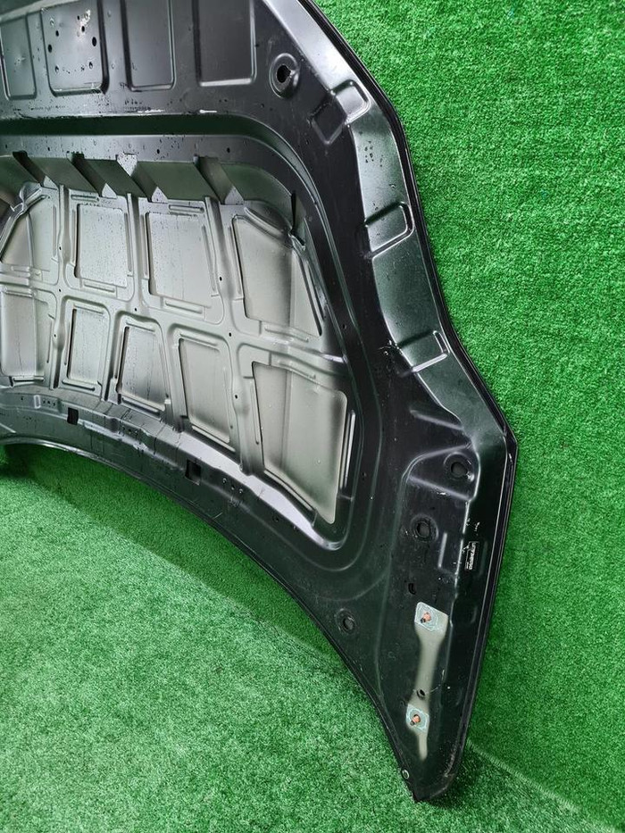 Капот Zeekr 001 (2021-н.в.)