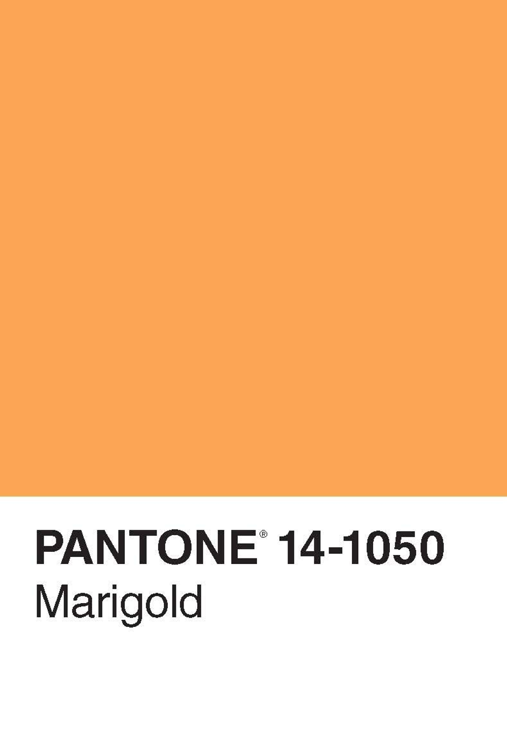 Pantone Postcard Box: 50 Postcards