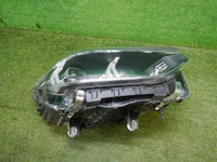 DSCN2247.jpg